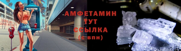 прущие грибы Алексеевка