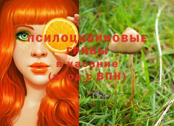 прущие грибы Алексеевка