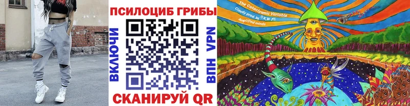 Псилоцибиновые грибы мицелий  Петушки 